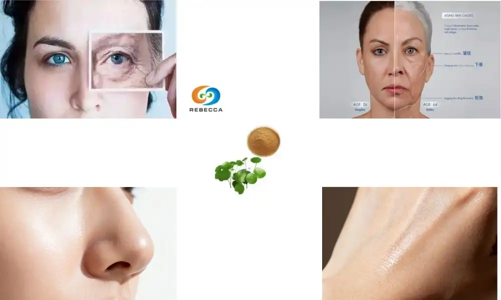 Is Centella anti-aging?